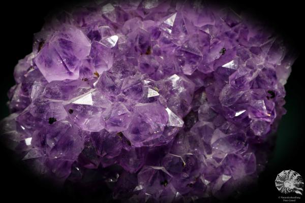 Amethyst XX (19908) ein Mineral aus Brasilien | Mineralien | Weltweit