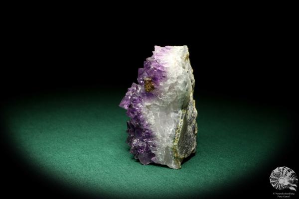 Amethyst XX (19908) ein Mineral aus Brasilien | Mineralien | Weltweit