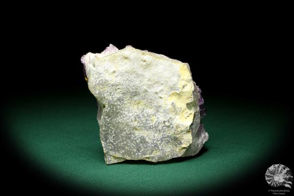 Amethyste XX (19908) a mineral from Brazil | Minerals | Global