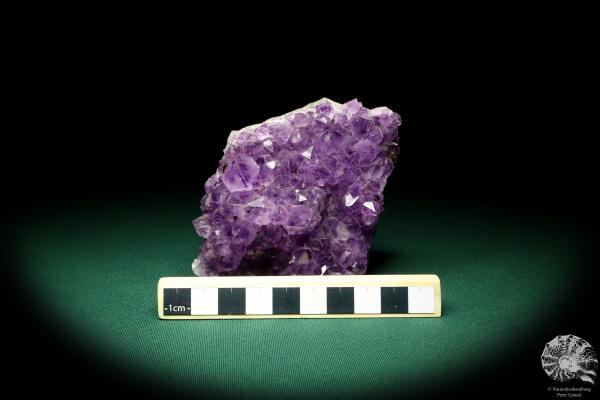 Amethyst XX (19908) ein Mineral aus Brasilien | Mineralien | Weltweit