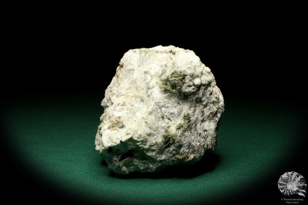 Aegirin XX (19909) ein Mineral aus Russland | Mineralien | Weltweit