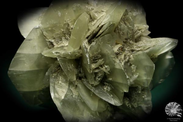 Gypsum XX (19910) a mineral from Germany | Minerals | From Germany