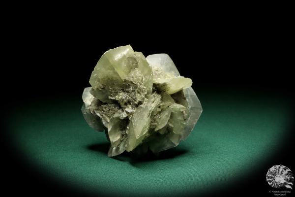 Gypsum XX (19910) a mineral from Germany | Minerals | From Germany