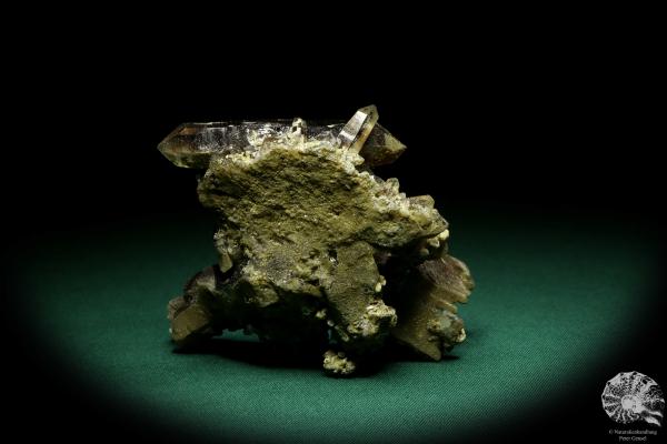 Rauchquarz XX (19911) ein Mineral aus Kasachstan | Mineralien | Weltweit