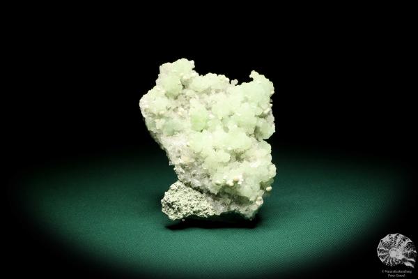 Prehnite (19912) a mineral from India | Minerals | Global