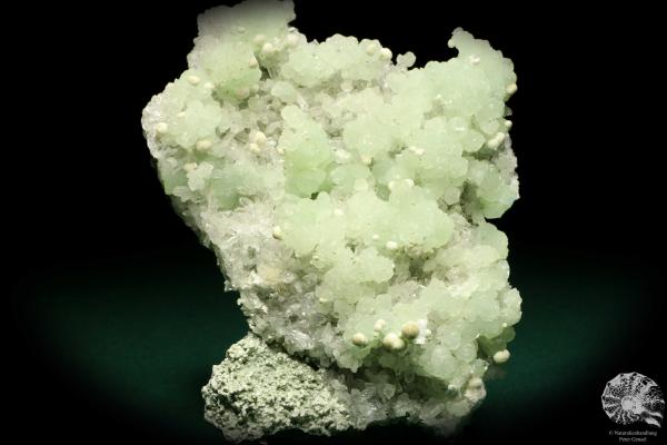 Prehnite (19912) a mineral from India | Minerals | Global