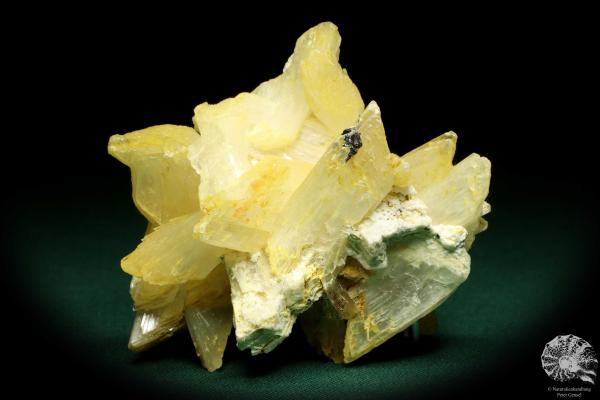 Gypsum XX (19914) a mineral from Romania | Minerals | From Germany