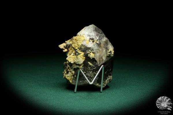 Quarz XX mit Bertrandit XX & Rhodochrosit XX & Pyrit XX (19915) ein Mineral aus Kasachstan | Mineralien | Weltweit