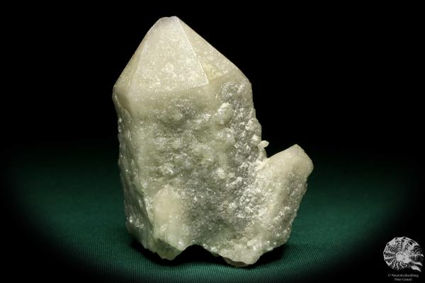 Quarz XX (19916) ein Mineral aus Kasachstan | Mineralien | Weltweit