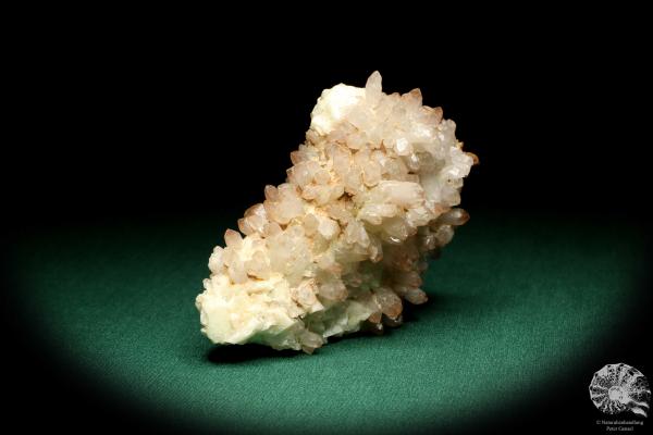 Quartz & Paradoxite a mineral