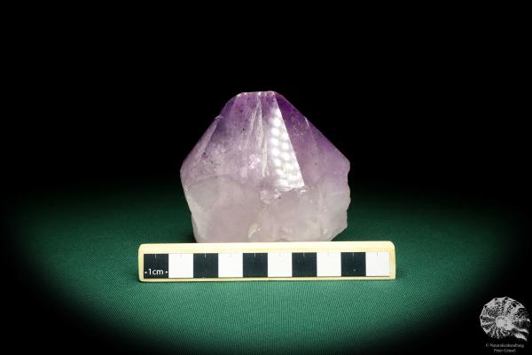 Amethyste XX (19920) a mineral from Brazil | Minerals | Global