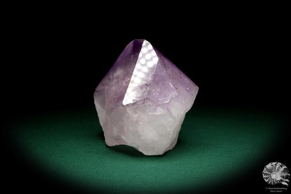 Amethyst XX ein Mineral