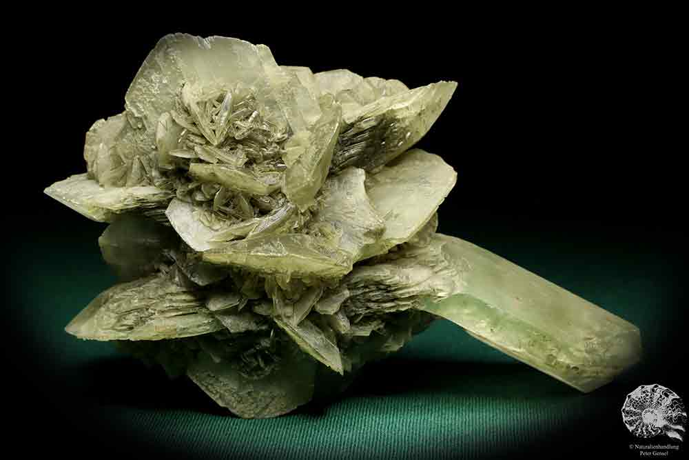 Gypsum XX a mineral