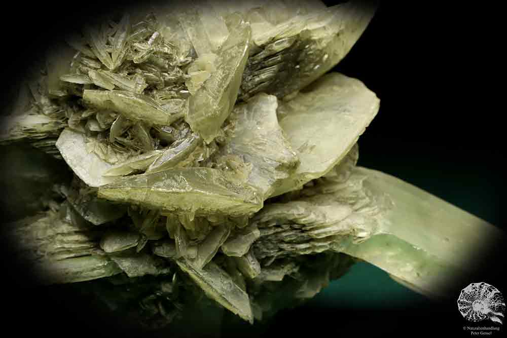 Gypsum XX a mineral