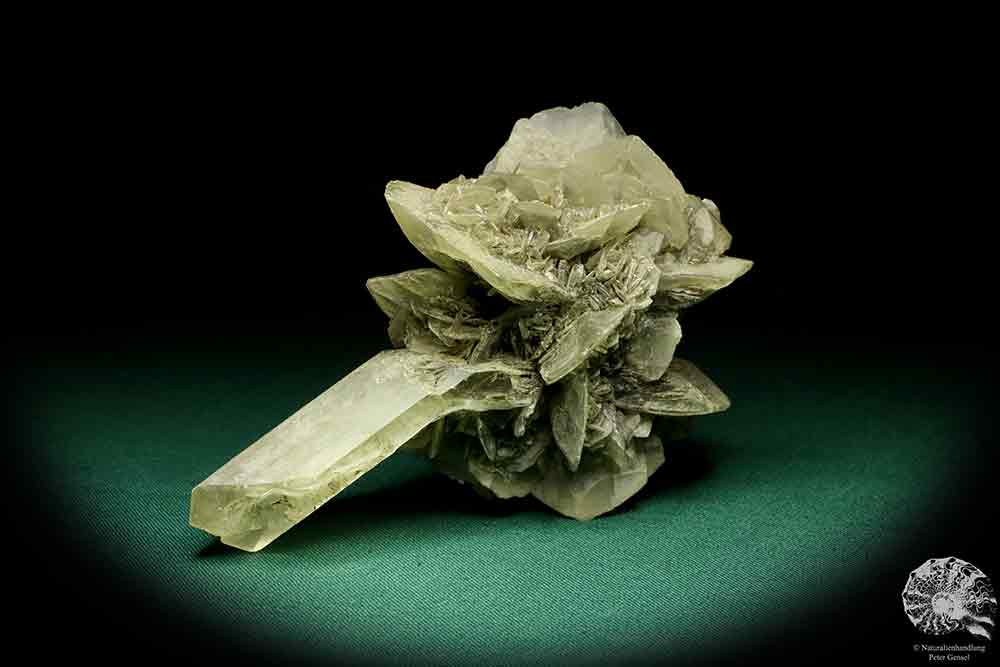 Gypsum XX a mineral