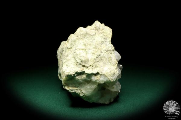 Calcit XX (19924) ein Mineral aus Schweden | Mineralien | Weltweit