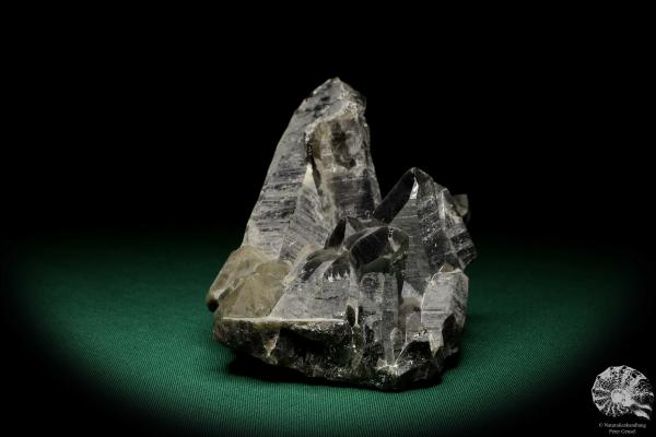 Smoky Quartz XX (19925) a mineral from Russia | Minerals | Global