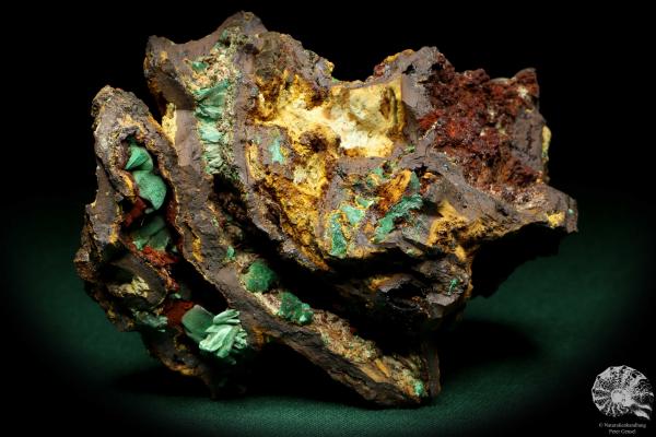 Malachite XX in Limonite (19926) a mineral from Russia | Minerals | Global