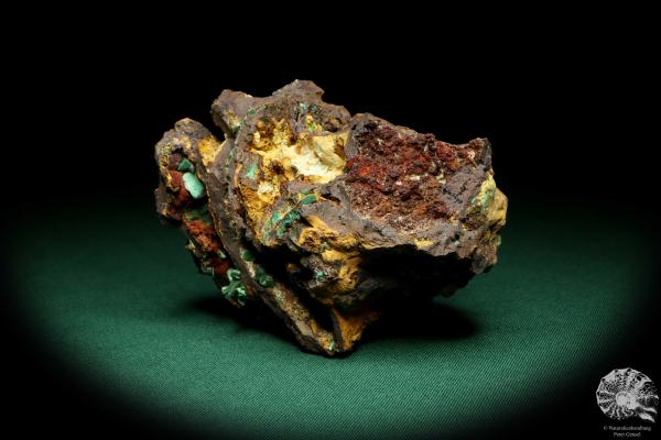 Malachite XX in Limonite (19926) a mineral from Russia | Minerals | Global