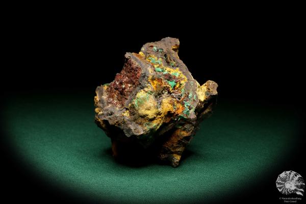 Malachite XX in Limonite (19926) a mineral from Russia | Minerals | Global