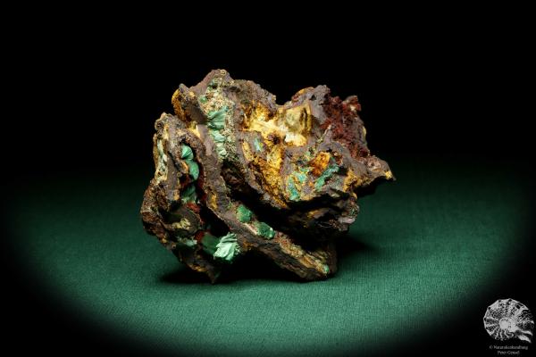 Malachite XX in Limonite (19926) a mineral from Russia | Minerals | Global