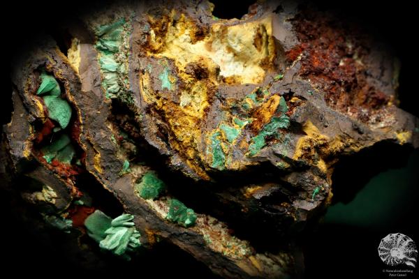 Malachite XX in Limonite a mineral