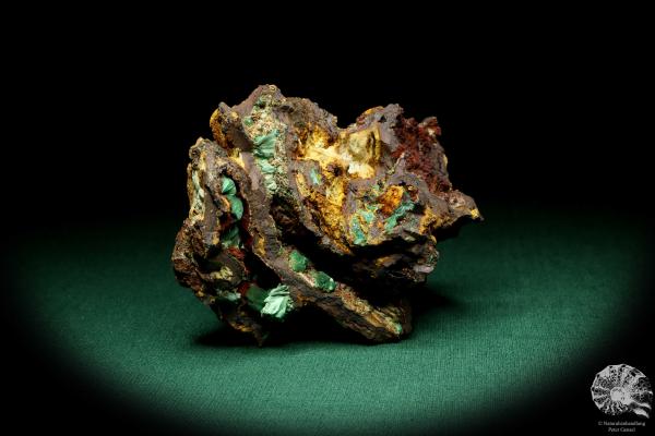 Malachite XX in Limonite a mineral