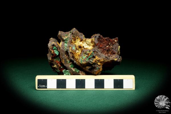 Malachite XX in Limonite a mineral