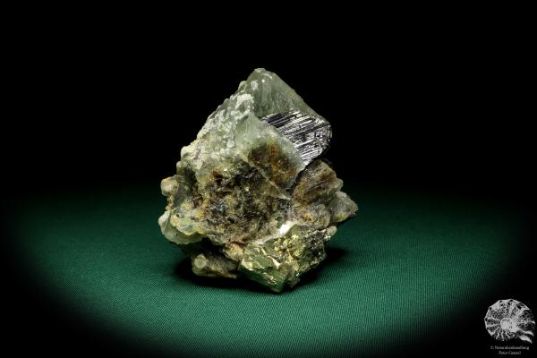 Fluorite XX with Quartz XX & Pyrite XX & Wolframite XX a mineral