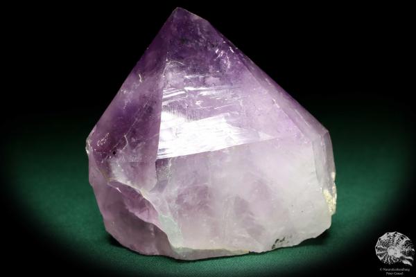 Amethyst XX (19930) ein Mineral aus Brasilien | Mineralien | Weltweit