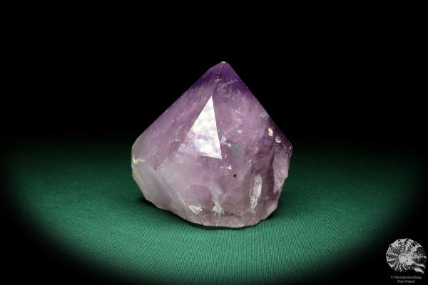 Amethyst XX (19930) ein Mineral aus Brasilien | Mineralien | Weltweit