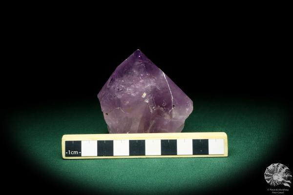 Amethyst XX (19930) ein Mineral aus Brasilien | Mineralien | Weltweit