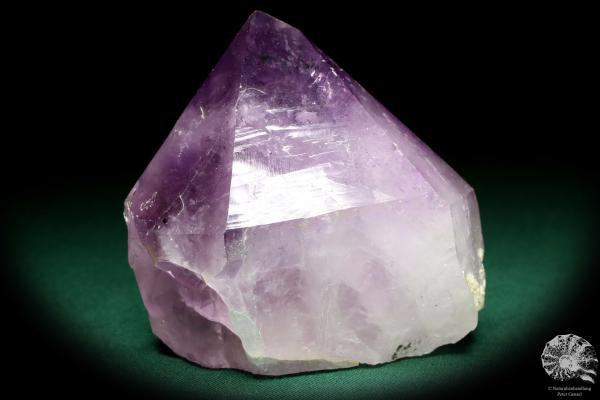 Amethyst XX ein Mineral