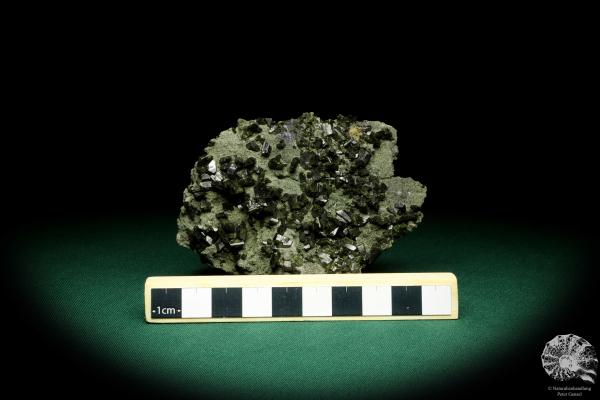 Epidote XX a mineral