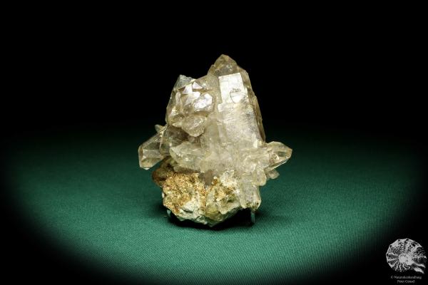 Stilpnomelane XX on Rock crystal (19933) a mineral from Russia | Minerals | Global