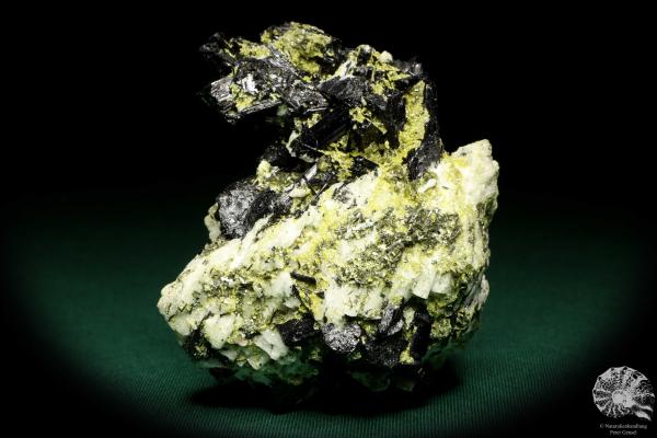 Schörl XX (19935) ein Mineral aus Russland | Mineralien | Weltweit