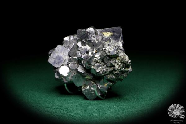 Galena XX (19936) a mineral from Bulgaria | Minerals | Global