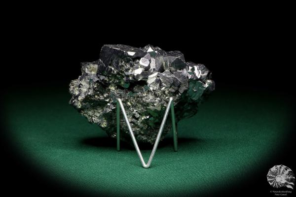 Galena XX (19936) a mineral from Bulgaria | Minerals | Global