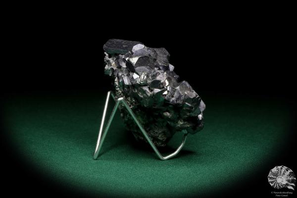 Galena XX (19936) a mineral from Bulgaria | Minerals | Global