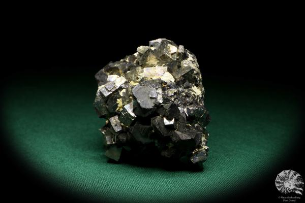 Arsenopyrite XX & Sphalerite XX (19937) a mineral from Russia | Minerals | Global