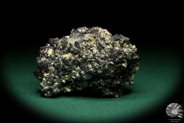 Arsenopyrite XX & Sphalerite XX (19937) a mineral from Russia | Minerals | Global