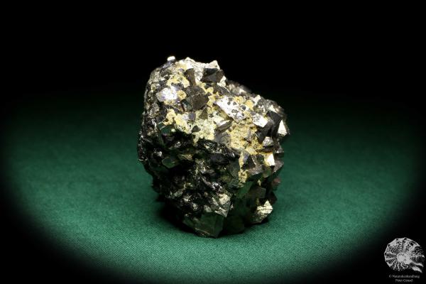 Arsenopyrite XX & Sphalerite XX (19937) a mineral from Russia | Minerals | Global