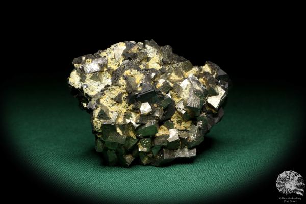 Arsenopyrite XX & Sphalerite XX (19937) a mineral from Russia | Minerals | Global