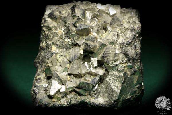 Arsenpyrite XX (19938) a mineral from Russia | Minerals | Global