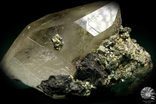 Quartz XX with Wolframite XX & Pyrite XX (19942) a mineral from Kazakhstan | Minerals | Global