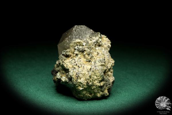 Quarz XX mit Wolframit XX & Pyrit XX (19942) ein Mineral aus Kasachstan | Mineralien | Weltweit