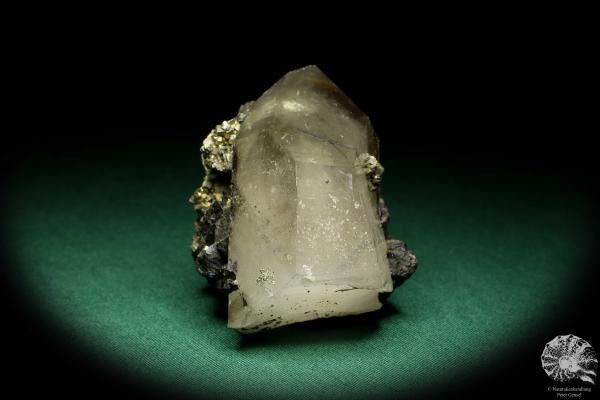 Quartz XX with Wolframite XX & Pyrite XX (19942) a mineral from Kazakhstan | Minerals | Global