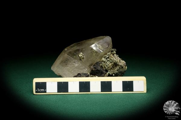 Quartz XX with Wolframite XX & Pyrite XX (19942) a mineral from Kazakhstan | Minerals | Global