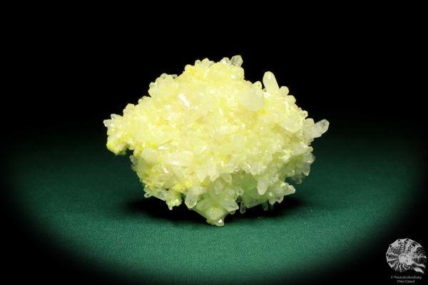 Celestine XX on Sulfur (19944) a mineral from Poland | Minerals | Global