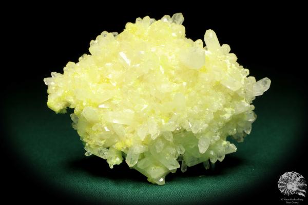 Celestine XX on Sulfur (19944) a mineral from Poland | Minerals | Global